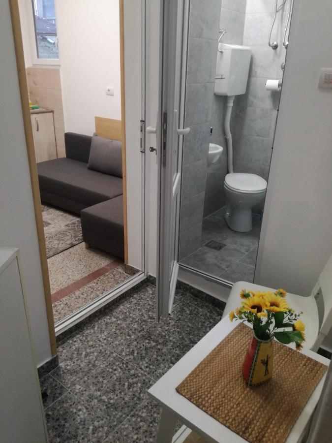 Apartmán Mini Studio - One Traveler Bělehrad Exteriér fotografie
